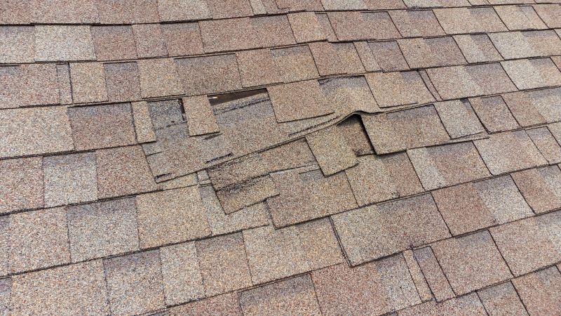 Causes Of Asphalt Shingle Damage And When Repair Is Enough