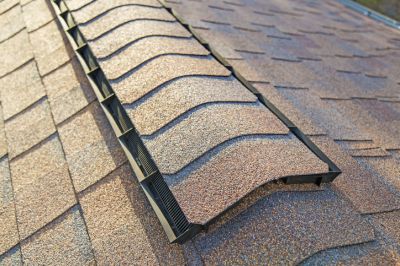 Ridge Vent Replacement Service